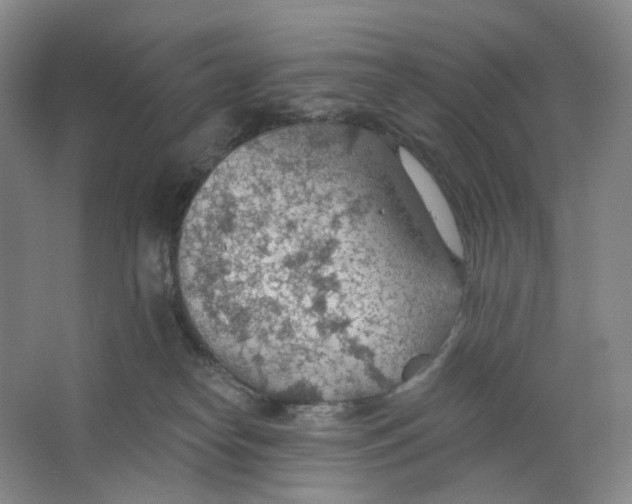 X0000063450182200602101658