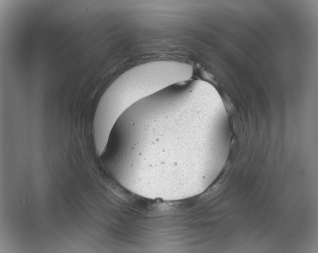 X0000063450184200602101658