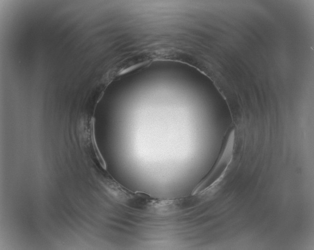 X0000063450186200602101658