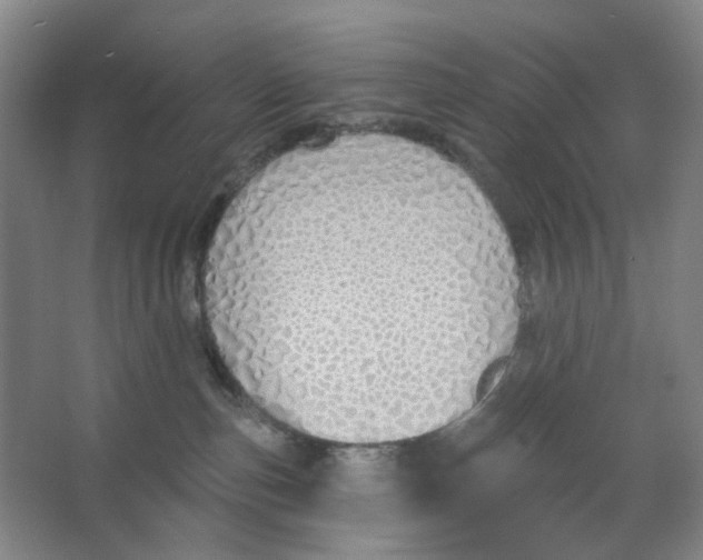 X0000063450187200602101658