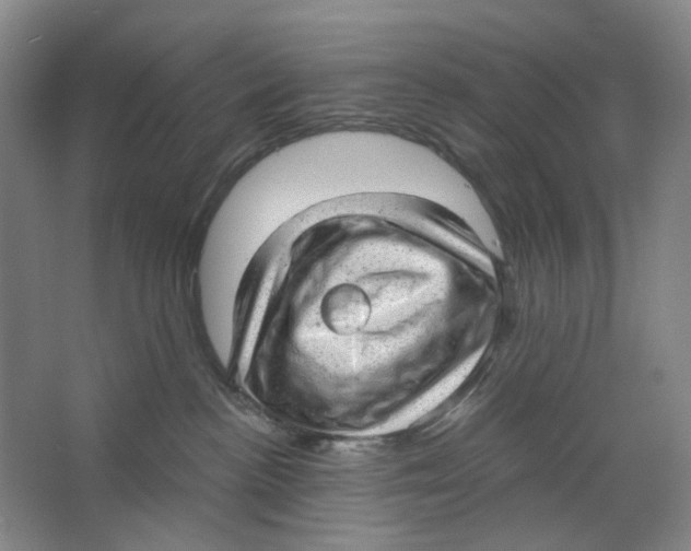 X0000063450188200602101658