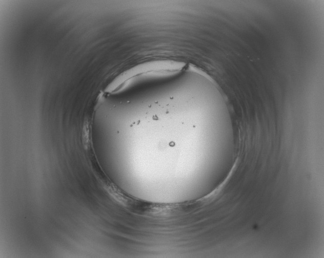 X0000063450190200602101658