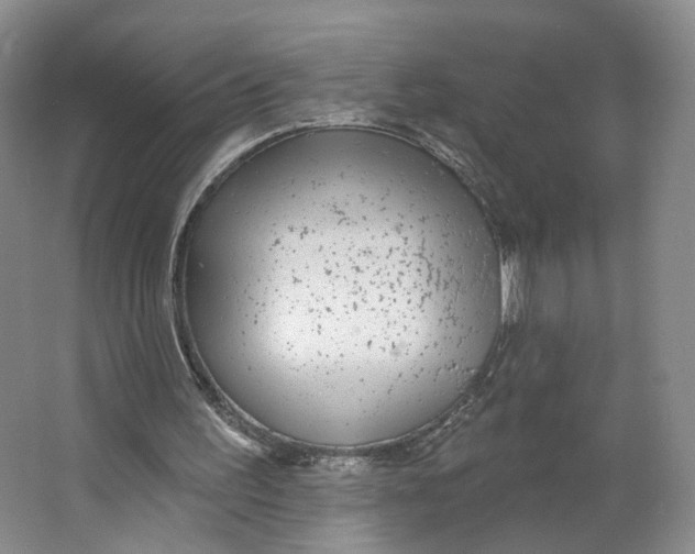 X0000063450195200602101657