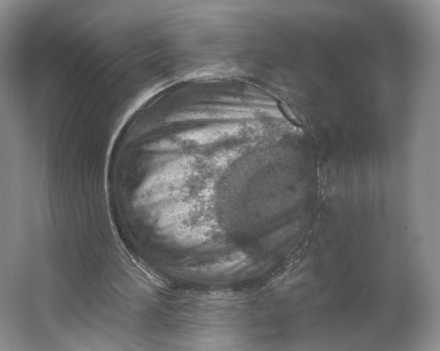 X0000063450196200602101657