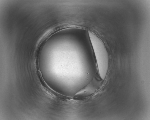 X0000063450197200602101657