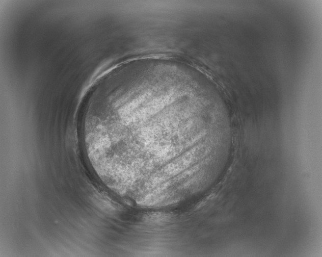 X0000063450198200602101657