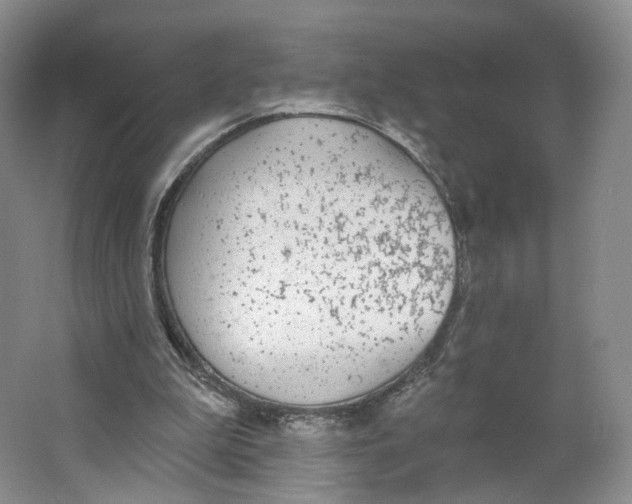 X0000063450199200602101657