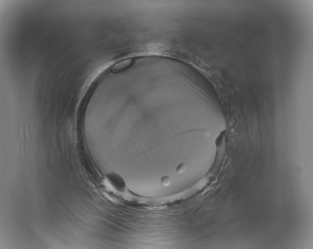 X0000063450200200602101657