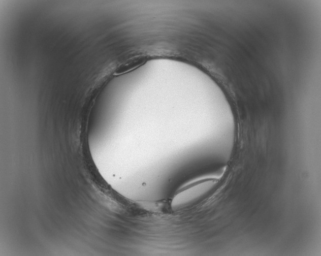 X0000063450201200602101657