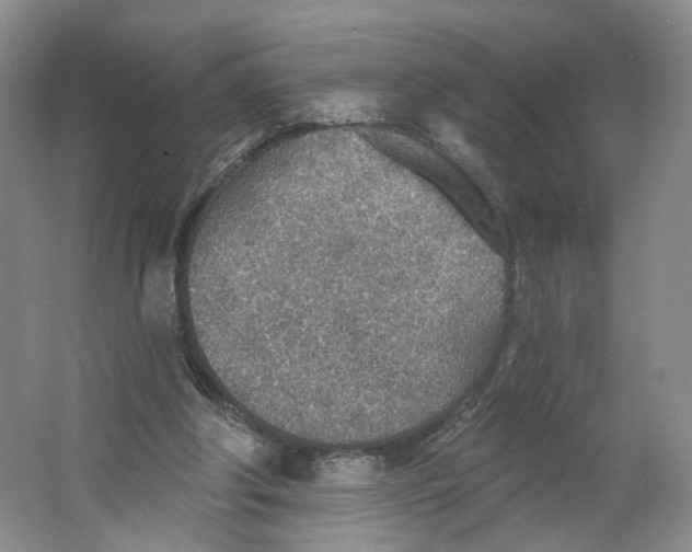 X0000063450202200602101657