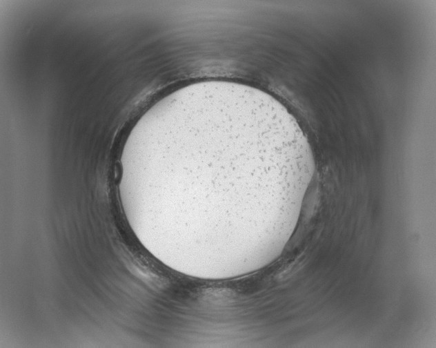 X0000063450203200602101657