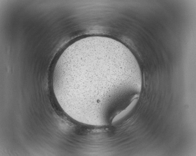 X0000063450204200602101657