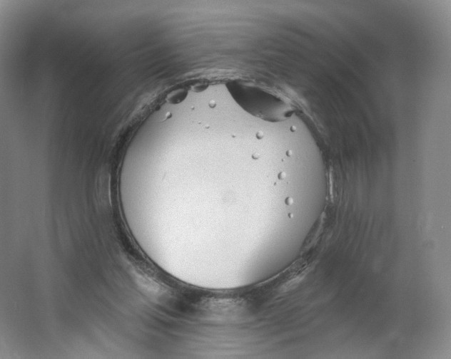 X0000063450205200602101657