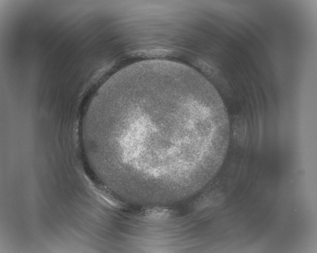 X0000063450206200602101657