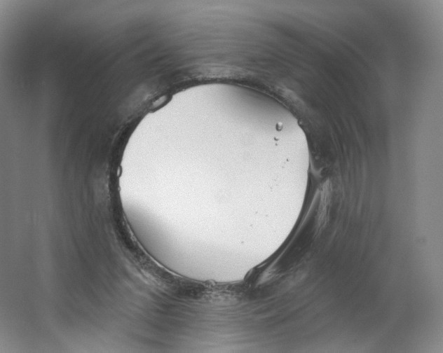 X0000063450207200602101657