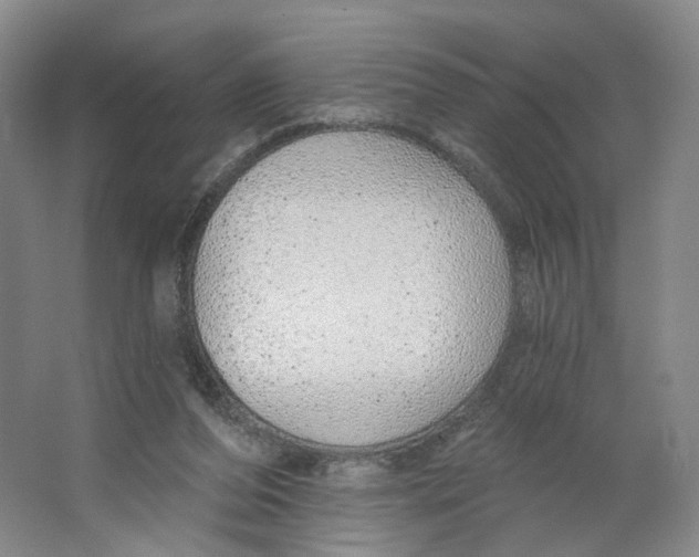 X0000063450208200602101657