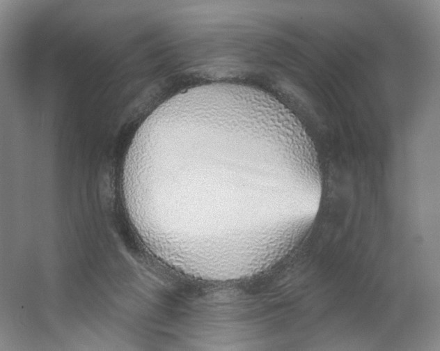 X0000063450210200602101657