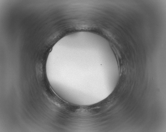 X0000063450211200602101657