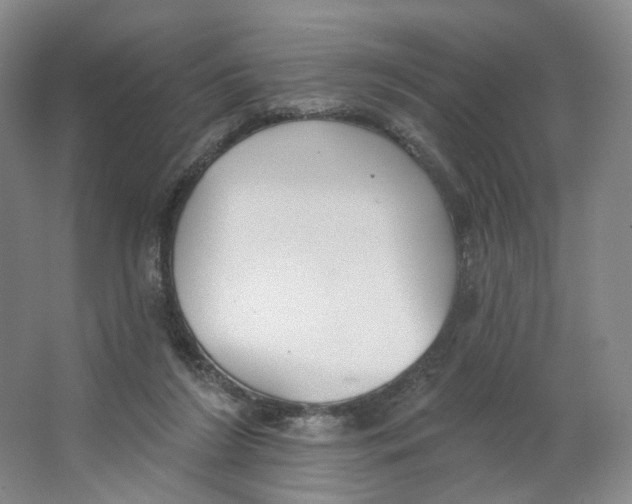 X0000063450212200602101657