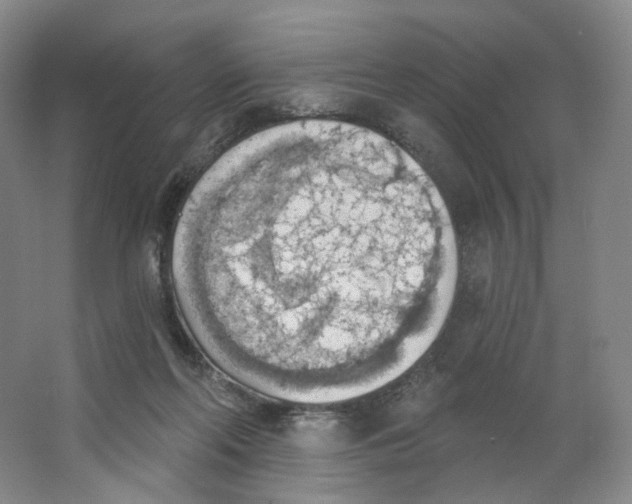 X0000063450214200602101657