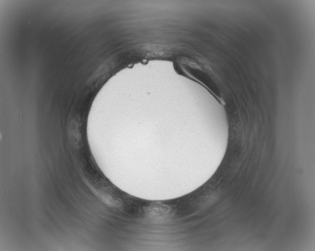 X0000063450215200602101657