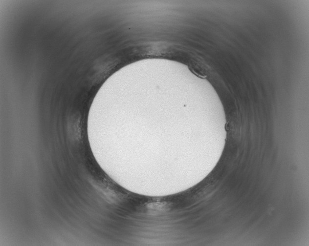 X0000063450216200602101657