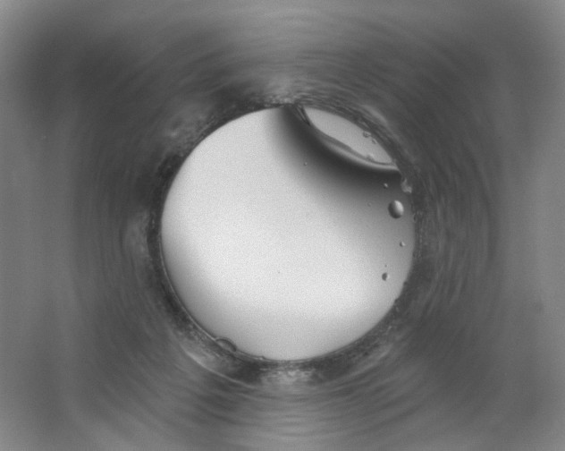 X0000063450217200602101657