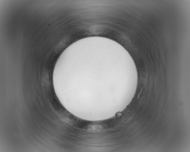 X0000063450220200602101657