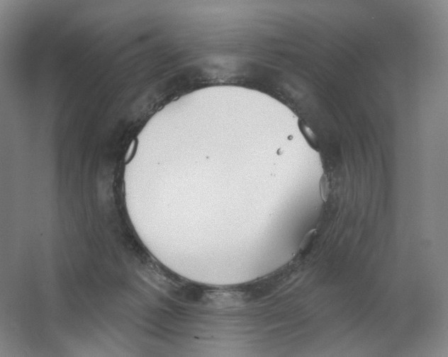 X0000063450221200602101657