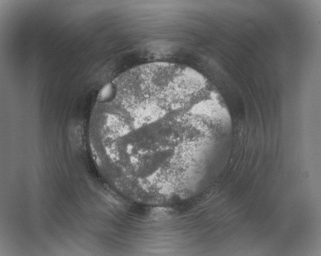 X0000063450222200602101657