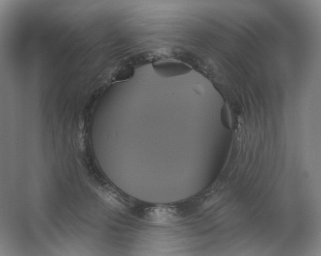 X0000063450223200602101657