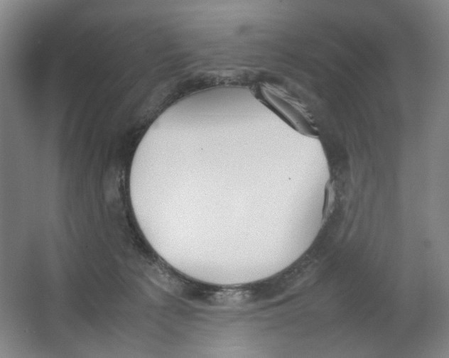 X0000063450225200602101657