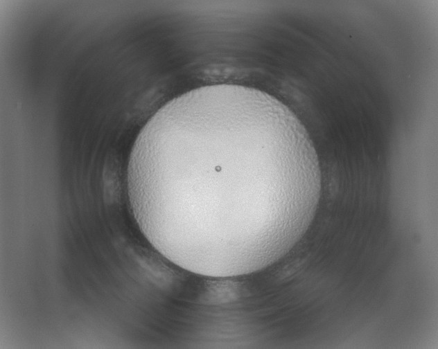 X0000063450226200602101657