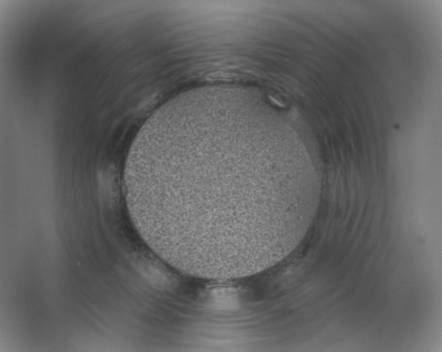 X0000063450228200602101656