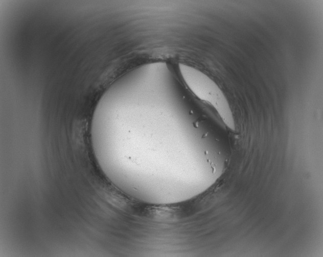 X0000063450229200602101656