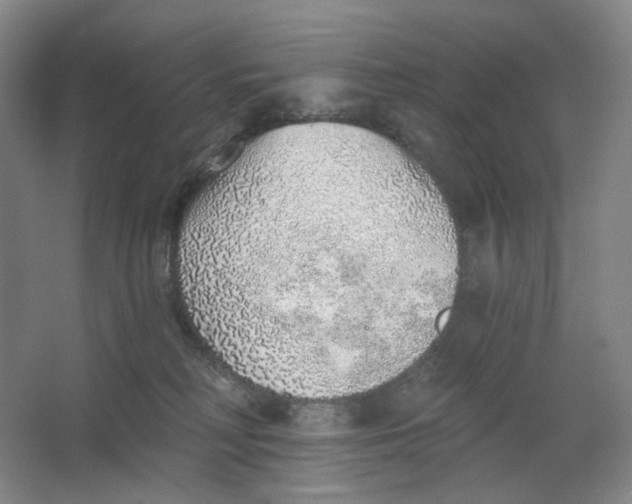 X0000063450230200602101656