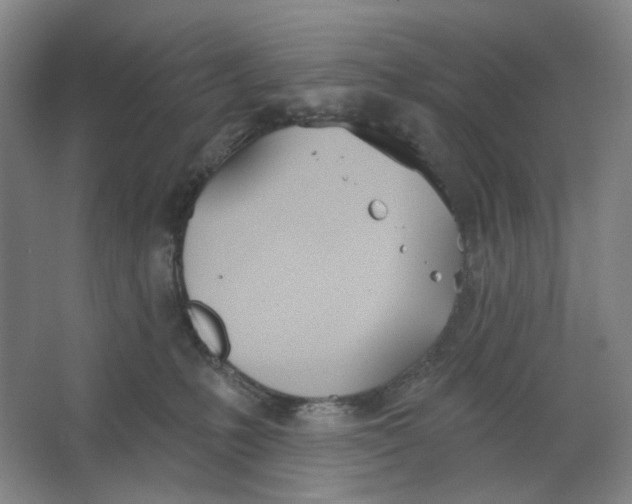 X0000063450231200602101656