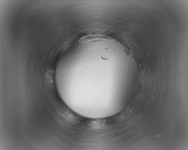 X0000063450232200602101656