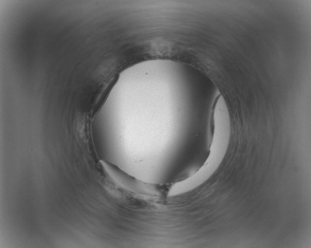 X0000063450233200602101656