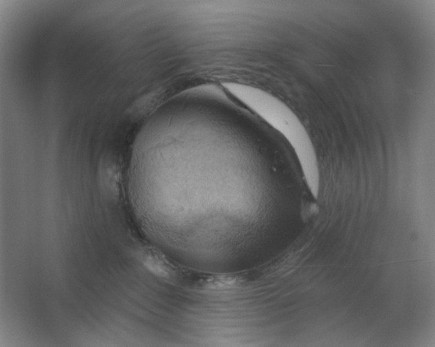 X0000063450235200602101656