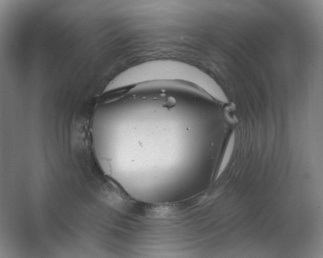 X0000063450237200602101656