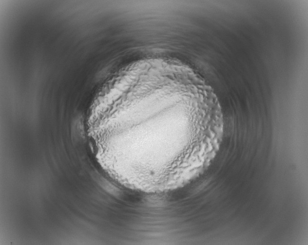 X0000063450238200602101656