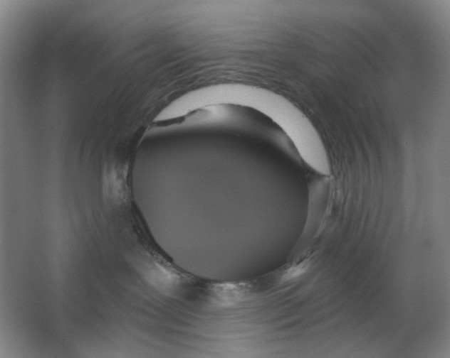 X0000063450239200602101656