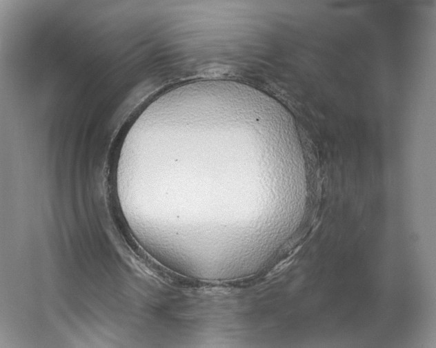 X0000063450242200602101655