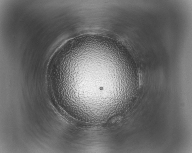 X0000063450243200602101656