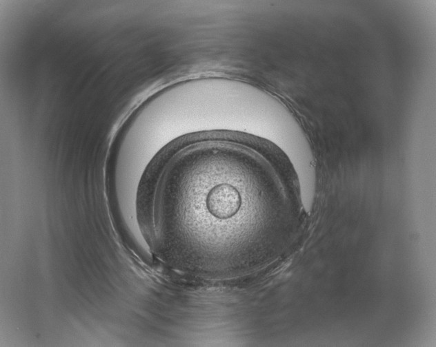 X0000063450244200602101656