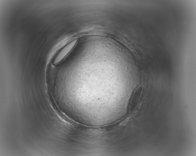 X0000063450245200602101656