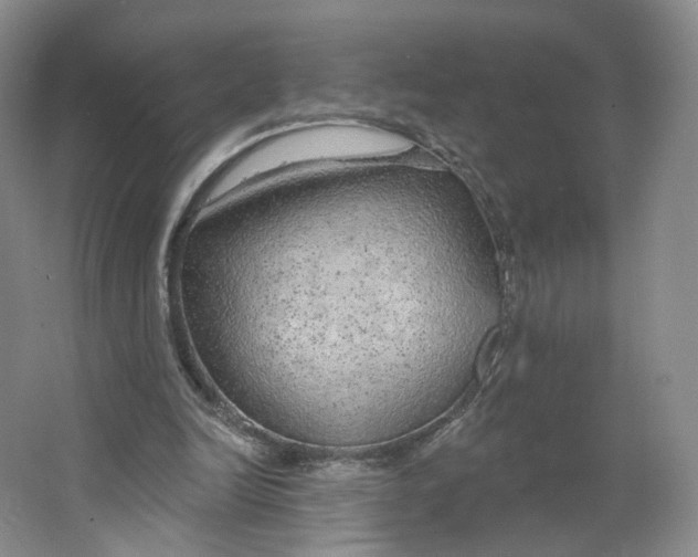 X0000063450246200602101656