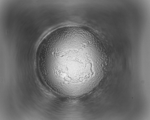 X0000063450247200602101656