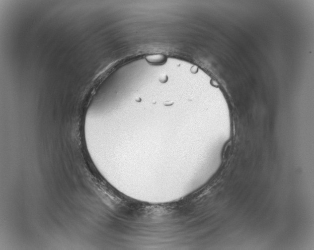 X0000063450249200602101656